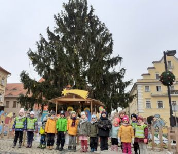 Procházka za vánoční výzdobou 