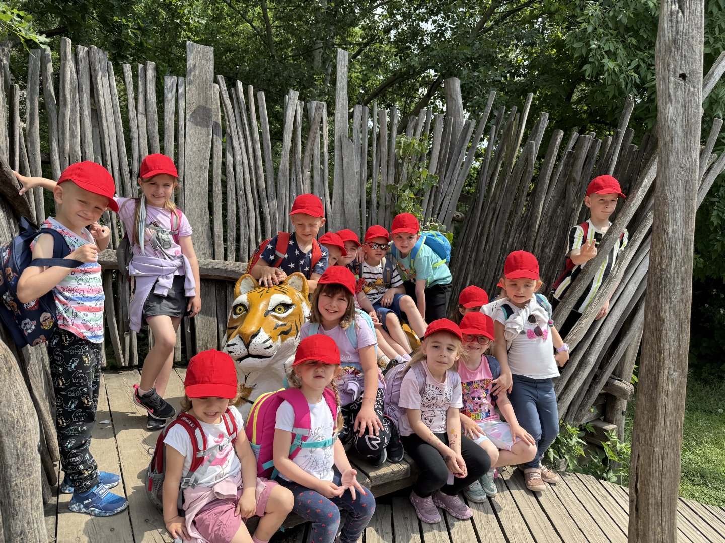 Veverky v Zoo
